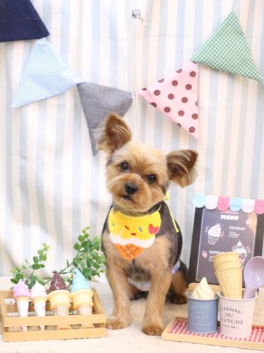 20250504ショーンくん